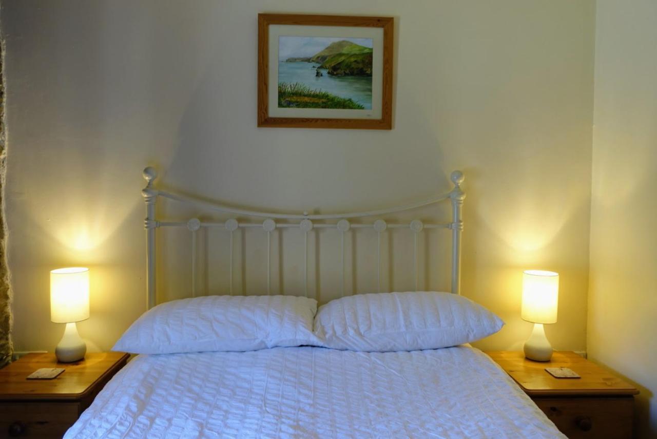 Troedyrhiw Holiday Cottages คาร์ดิแกน ภายนอก รูปภาพ