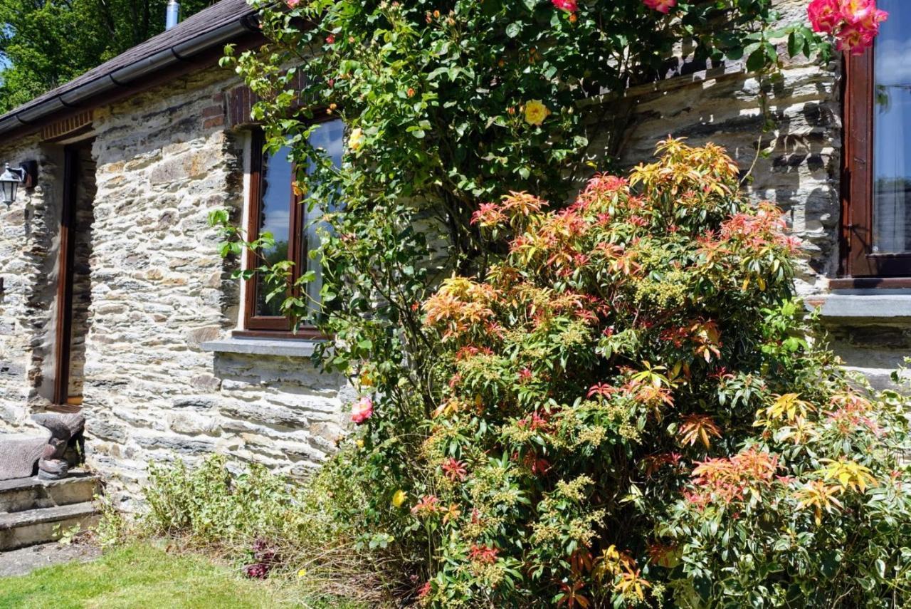 Troedyrhiw Holiday Cottages คาร์ดิแกน ภายนอก รูปภาพ